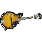 RM100F F-Style Mandolin (Standard)