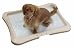 Puppy Training Tray (Beige-Taupe) (1.6