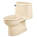 American Standard 2034.014.021 Champion-4 Right Height One-Piece Elongated Toilet, Bone