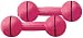 Personal Health Care : Everlast for Her 5-Pound Vinyl Dumbbells