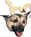Reindeer Dog Costume