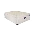 Spring Air White Back Supporter Lustre Psh PT Mat St - Queen