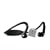 Motorola S9-HD Headset with D650 iPod Adapter and Carrying Case (Gloss Black)