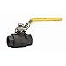 Watts 0548008 C-FBV-1 2 1/2 2 1/2 Inch 2-Piece Full Port Carbon Steel Ball Valve, NPT Threaded End Connection, Lever Handle