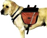 Pet Backpack