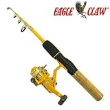 TELESCOPING FISHING ROD