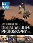 RSPB Guide to Digital Wildlife Photography