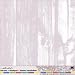Scrapbook 12 x 12 Rub-On-Overlay KNOTTED WOOD For Scrapbooking, Card Making & Craft Projects