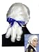 Colonial Duke Costume Wig with Bow - COLOR CHOICES