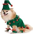 Elf Pet Costume