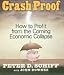 Crash Proof: How To Profit From the Coming Economic Collapse (Your Coach in a Box)