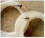 Royal Wulff Triangle Taper Fly Line TT6F Floating 6 Weight