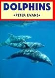 Dolphins