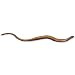 3B Scientific VN715 Slow Worm (Anguis Fragilis)