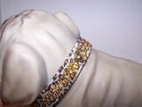 Jungle King Jewel Dog Collar 14in Jaguar 147 31qmF1dU41L. SL160 Jungle King Jewel Dog Collar 14in Jaguar 147