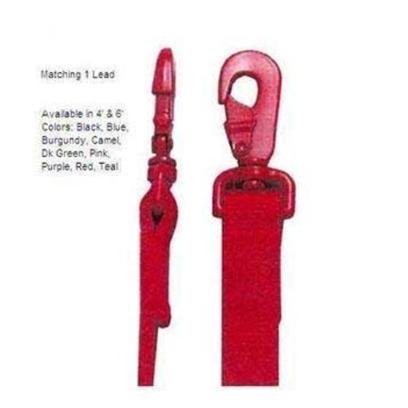 Four Paws Blue Nylon Dog Lead