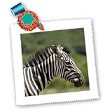 Wild animals - Zebra - Quilt Squares