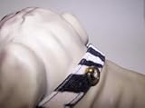  : Jungle Queen 3/4in Dog Collar 141 Zebra 16in