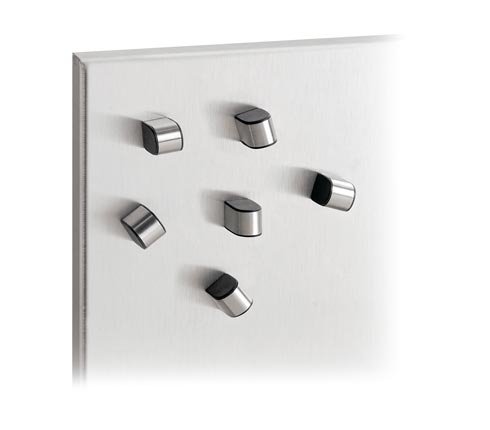Blomus 66673 Set 6 Magnete TEWO