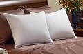 Pacific Coast® Down ChamberTM Pillow Standard 20x26 Inch 24oz