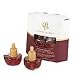 Clair Burke Fragrance Warmer Refills - CHRISTMAS MEMORIES