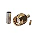 Eightwood 10pcs RP-SMA Male RF Crimp Connector 50ohms Gold-Plated for RG316 RG174 Cable