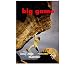 Big Game Rock Climbing DVD