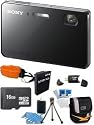 Sony Cyber-shot DSC-TX200V 18.2 MP Waterproof Digital Camera with 5x Optical Zoom and 3.3-inch OLED (Red) with 16GB Card, Spare Battery, Card Reader, Floating Strap, Digpro Case, Mini Tripod, LCD Screen Protectors, Lens Cleaner + More