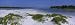 Grass on the Beach, Fort de Soto Park, Tierra Verde, Florida, USA Photographic Poster Print by Panoramic Images , 14x42