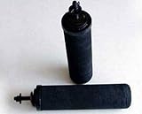 2 Black Berkey Replacement Water Filters - Big Berkey
