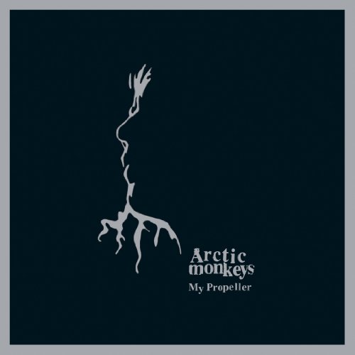 Arctic Monkeys Picture