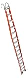 Werner TPF16-1 16-Foot 300-Pound Duty Rating Fiberglass Tapered Posting Ladder