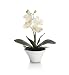 (03900086) Artificial Small Orchids in Pot in Household & Kitchen