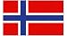 Sports : Flagge 150x90 cm Norwegen