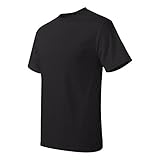 Hanes Men's Tagless T-Shirt (Black) (Small)