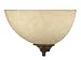Nuvo Lighting 60/044 Old Bronze Tapas Traditional / Classic Single Light up Lighting ...