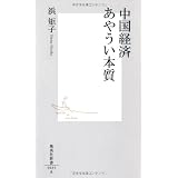 中国経済 あやうい本質 (集英社新書)