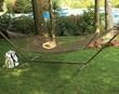 Bliss Hammocks, Inc. Rope Hammock and 13-Feet Stand Combo, White Rope