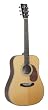 Recording King Classic Series Dreadnought Acoustic Guitar with Herringbone (Mahogany)