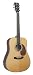 Recording King Classic Series Dreadnought Acoustic Guitar with Herringbone, Solid Mahogany Back & Sides