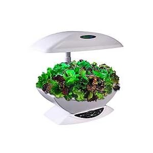 Aeroponics System