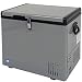 Whynter FM-45G 45-Quart Portable Refrigerator/Freezer, Platinum