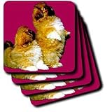 Dogs Pekingese - Pekingese - Coasters
