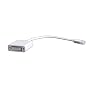 KanaaN Mini Display Port auf DVI adapter f�r Macbook Apple Pro