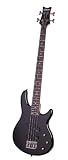 Schecter Raiden