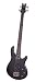 Schecter Raiden DLX-4 Bass - Black