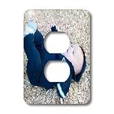 Jos Fauxtographee Realistic - Adorable Baby Boy Laying on Ground at Park in Blue Sweat suit With His legs and Chubby Hands in Air - Light Switch Covers - 2 plug outlet cover