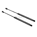 Vepagoo 2Pcs Front Hood Struts Shocks Lift Supports Compatible with 2001 2002 2003 Acura CL / 1999 2000 2001 Acura TL