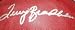 Terry Bradshaw Autographed NFL Football