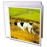 Dogs The Pointer - The Pointer Dog - Greeting Cards-12 Greeting Cards with envelopes